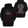 Harry Potter Book titles nerdy Unisex Adult Hoodie