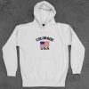 Colorado Flag USA Unisex Adult Hoodie